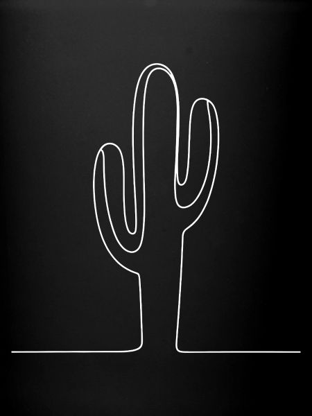 Cactus Contour Illustration
