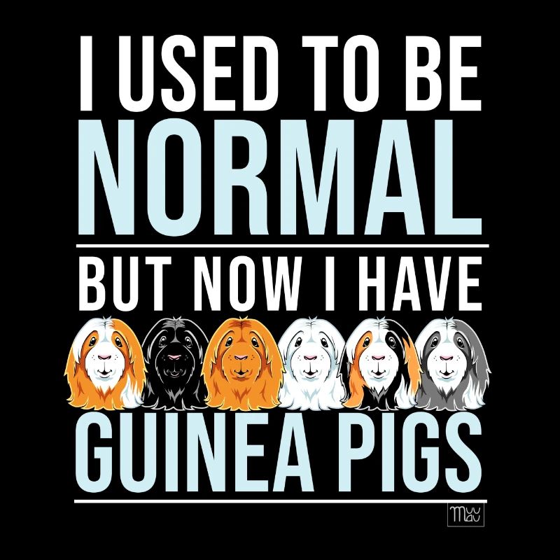 Cochons d'Inde Normal II