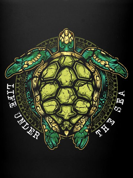 Turtle turtles