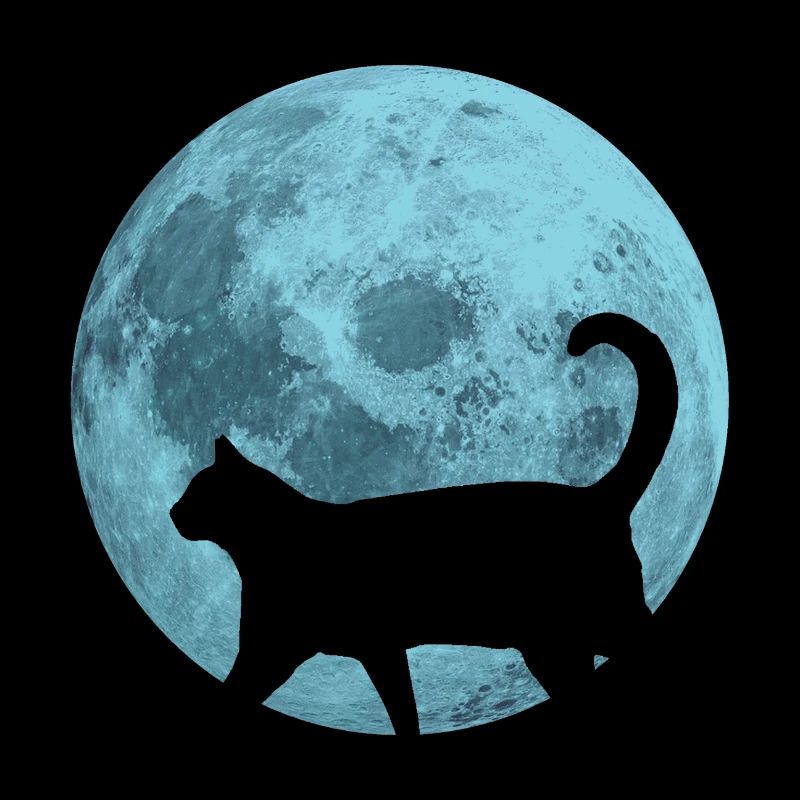 Cat full moon