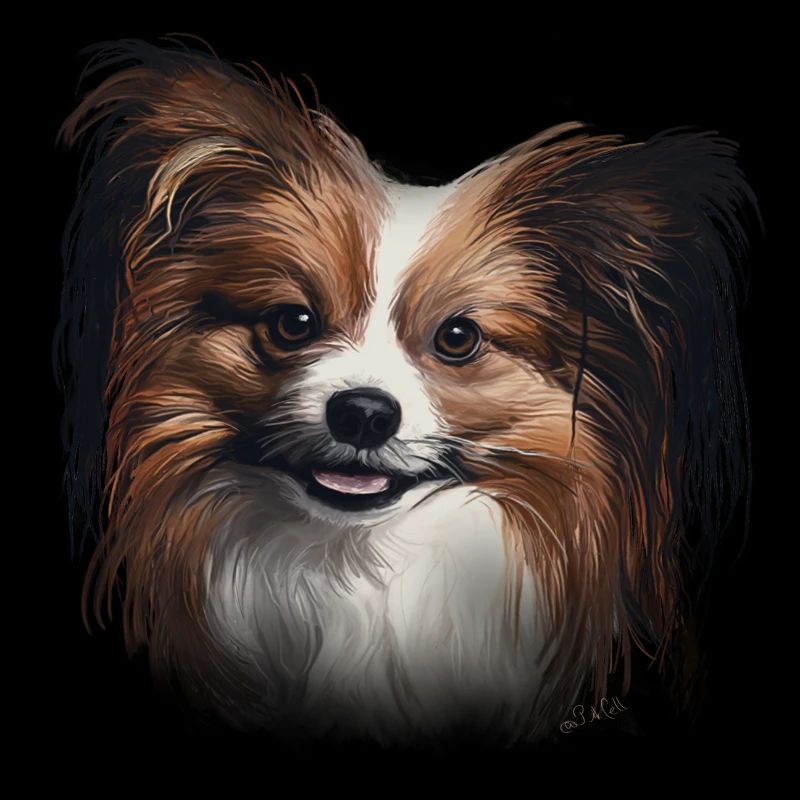 Papillon