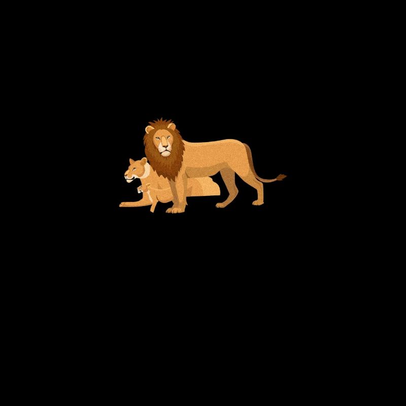 J'adore les lions