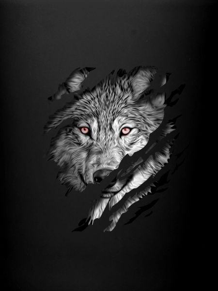 wolf