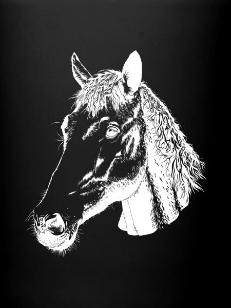 Tête de cheval