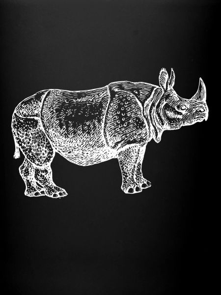 Rhinoceros