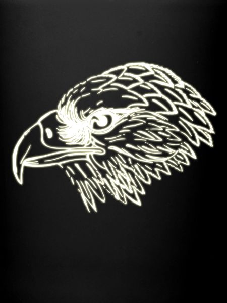 eagle head