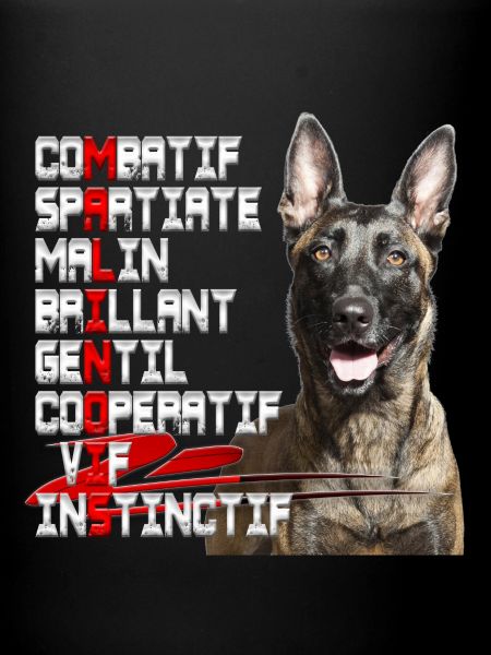 malinois