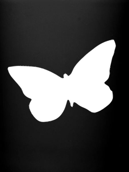 papillon