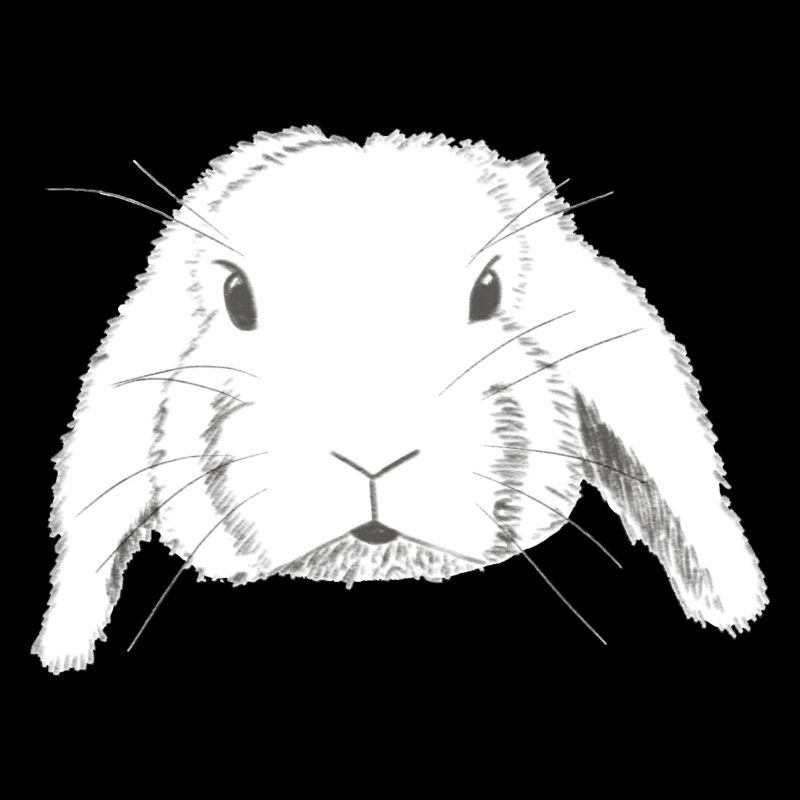 Bélier lapin dessin