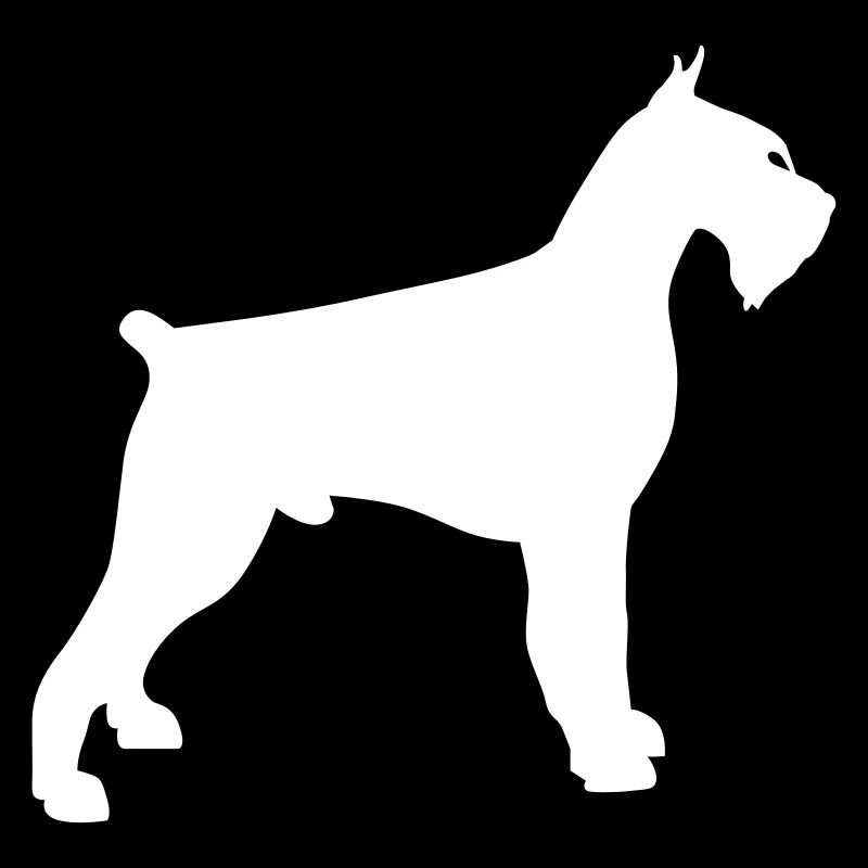 giant schnauzer