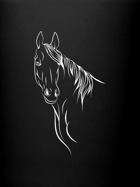 Cheval pour noir.