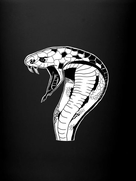 Snake