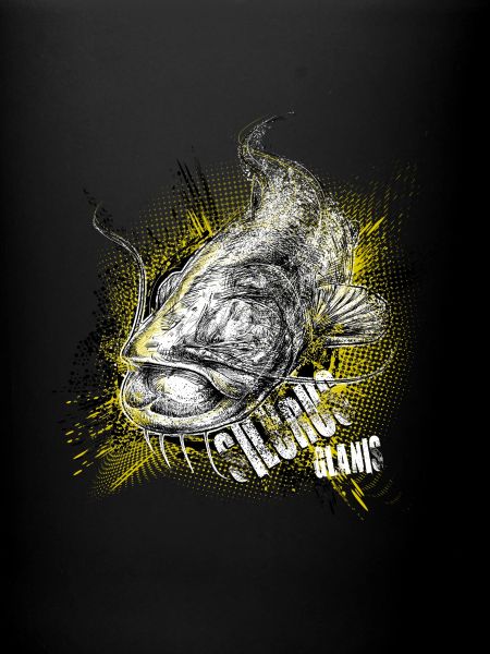 Waller - Silurus glanis