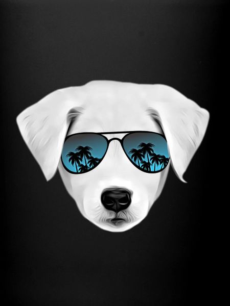 Chien « Cool »