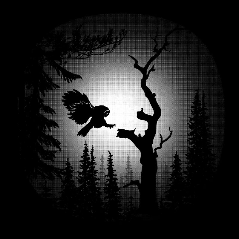 oiseau de nuit