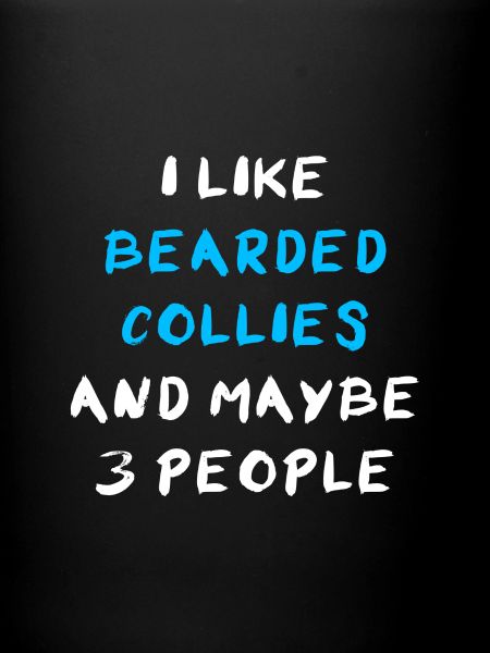 Bearded Collie