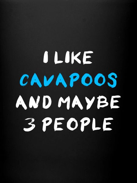 Cavapoo Cavoodle