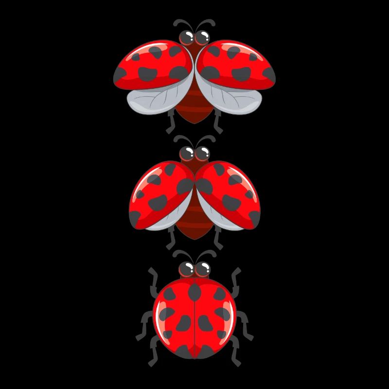Coccinelles douces insectes avec des ailes