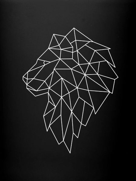 Graphisme lion