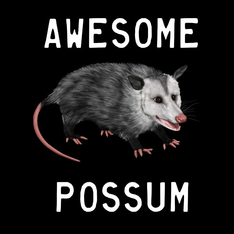Possum - Awesome Possum