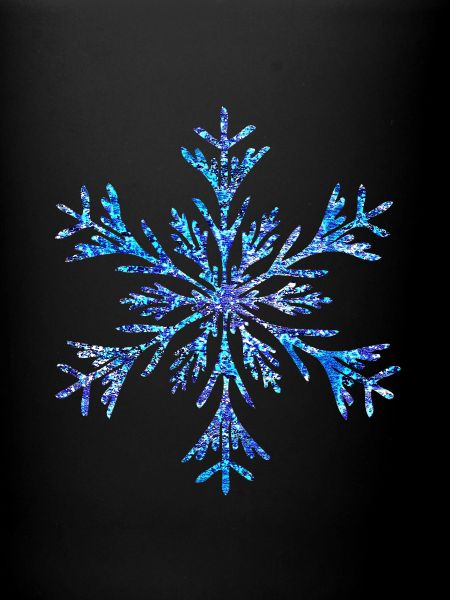 single snowflake