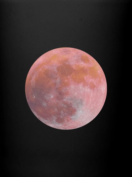Lune rose