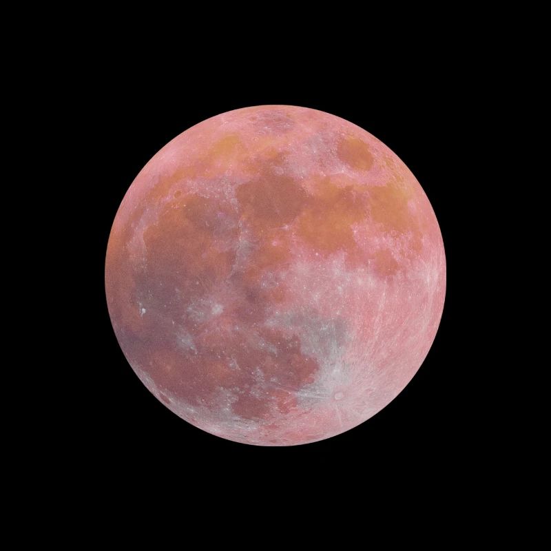 Pink Moon