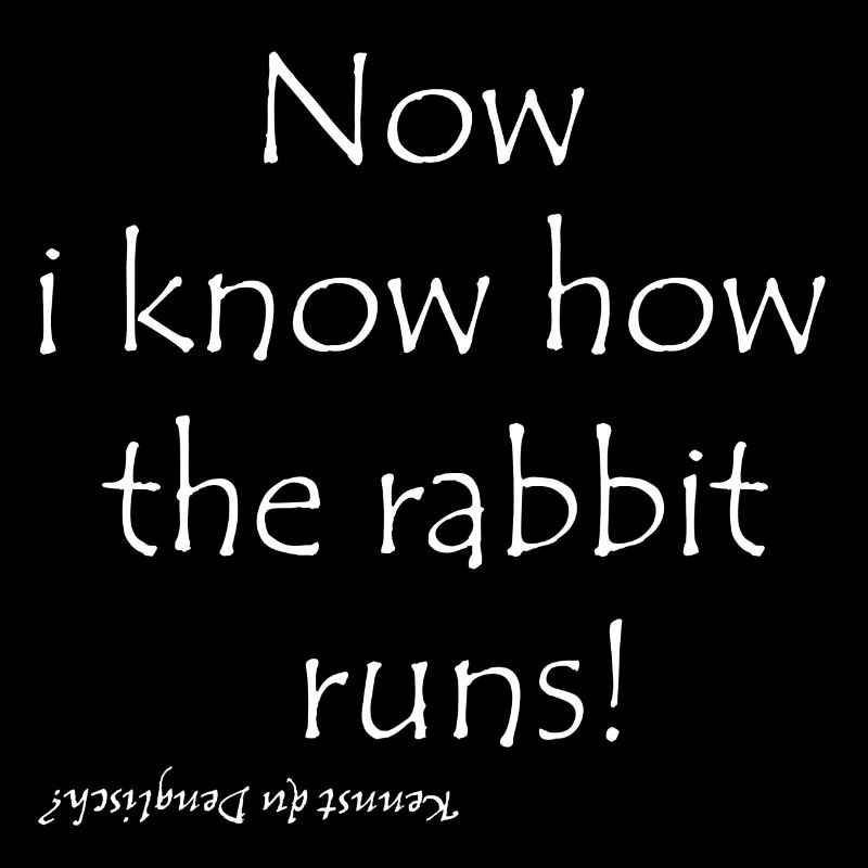 Now i know how the rabbit runs