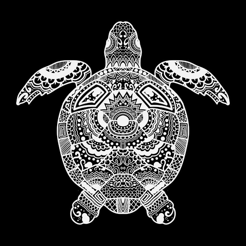 tortue