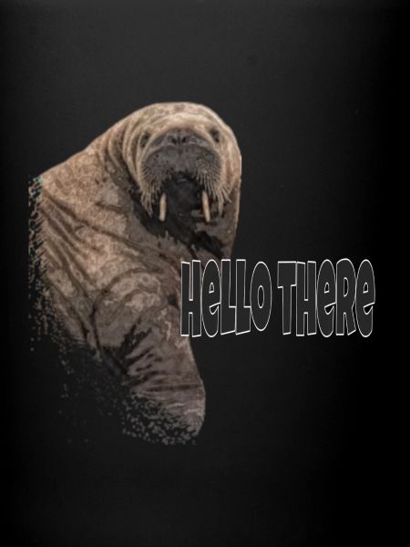 Walrus