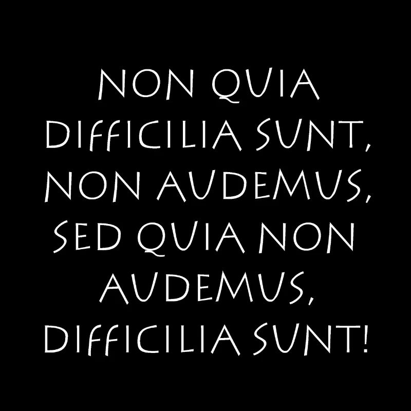 Non quia difficilia sunt non audemus