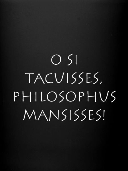 O si tacuisses philosophus mansisses