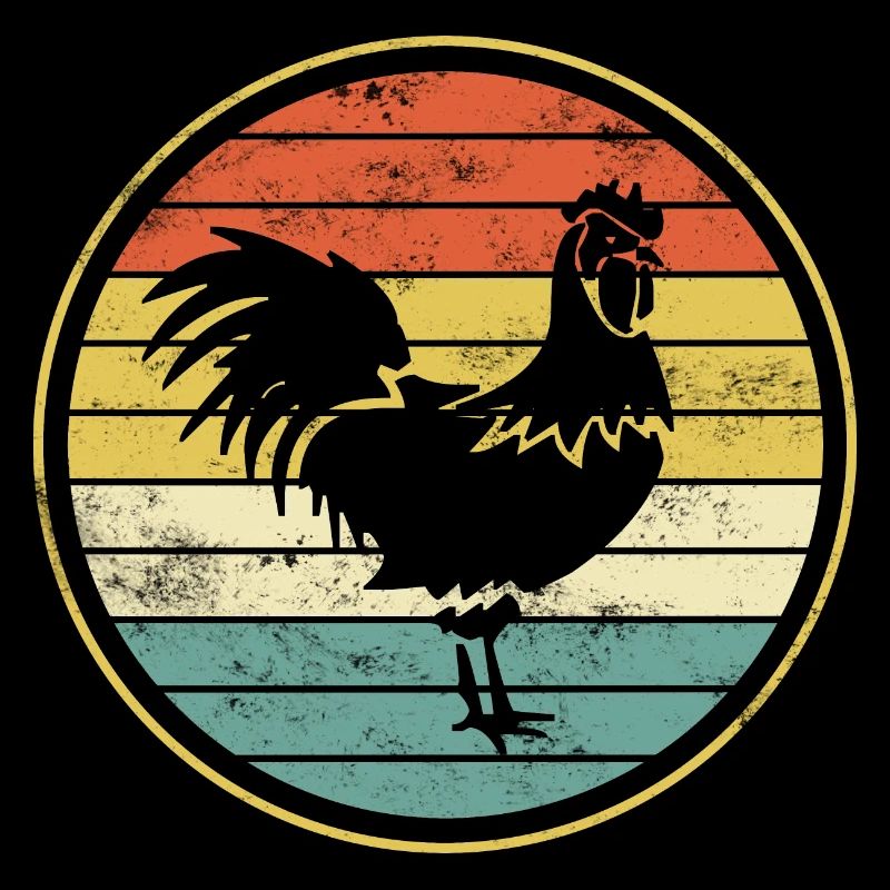 Rooster chicken chickens