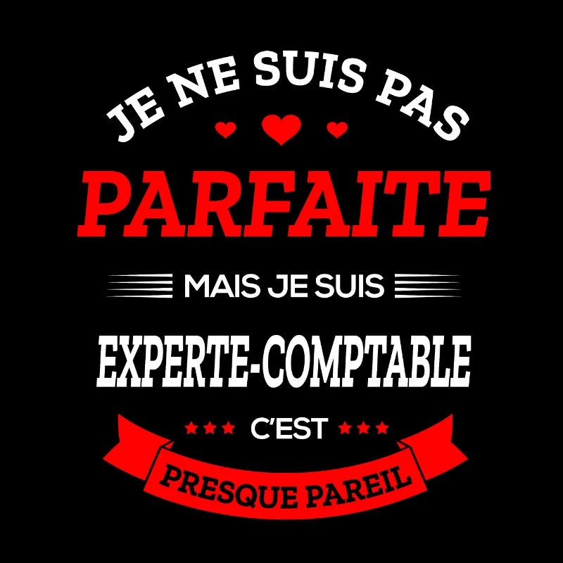 EXPERTE-COMPTABLE PARFAITE