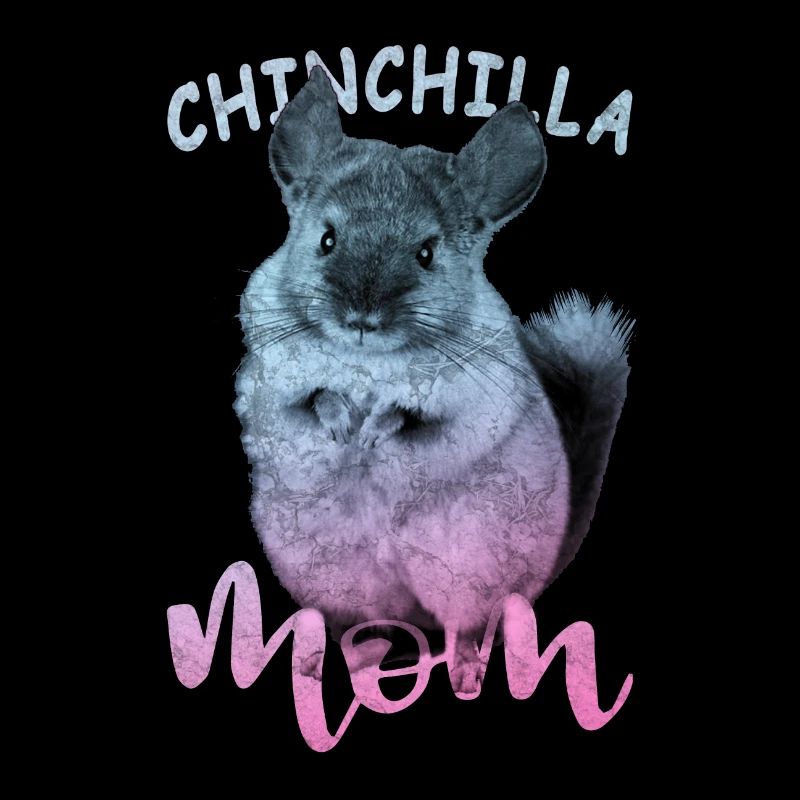 Chinchilla
