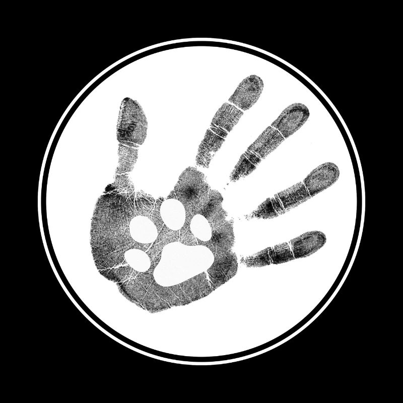 Dog High five- Hund