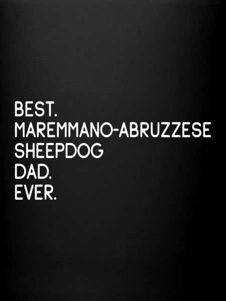 Maremmano-Abruzzese Sheepdog Dad