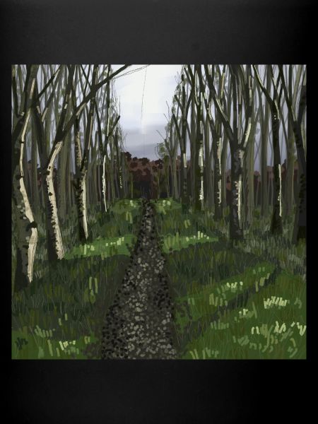 Woodland path