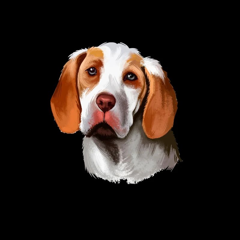 Ariege Pointer Dog Aquarelle Art Illustration