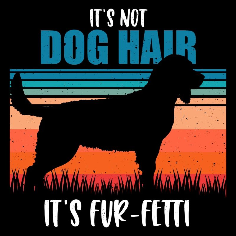 American Water Spaniel