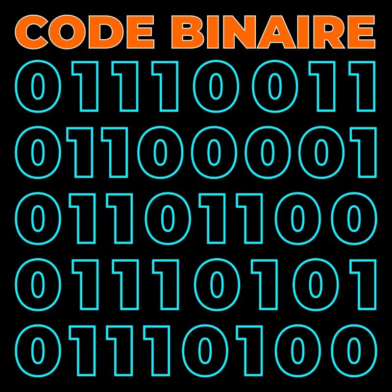 Code binaire