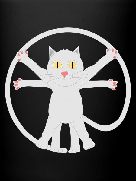 Leonardo da Kitty