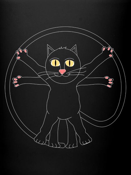 Leonardo da Kitty