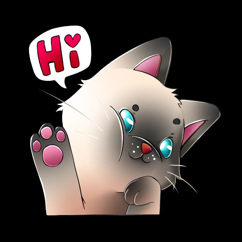 Câlin bonjour chat