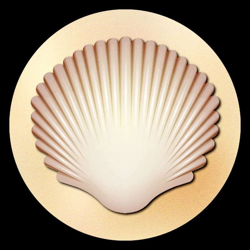 Shell (sand, round)