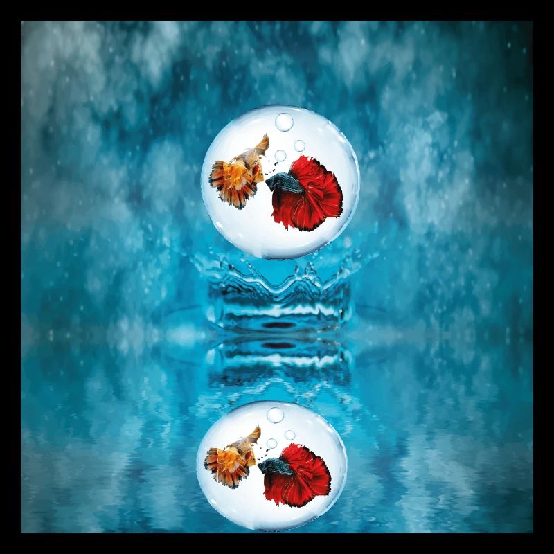 Two fishs in bubble