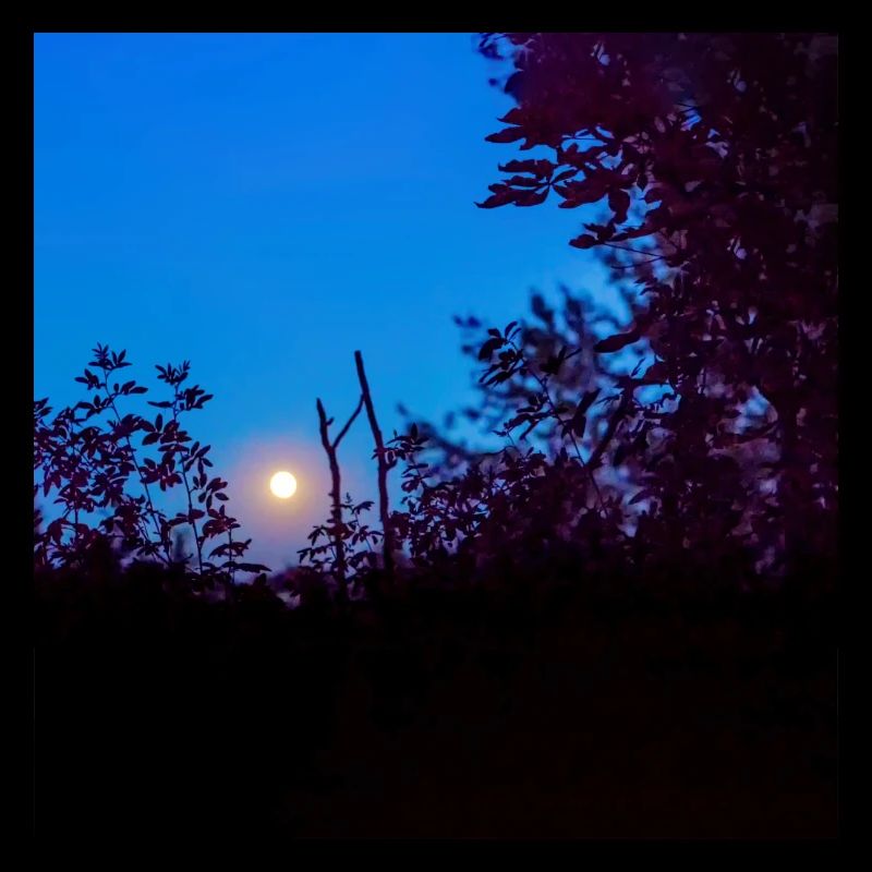 L’échelle vers le ciel