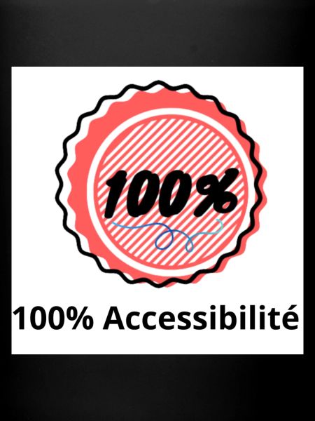 100% Accessibilité