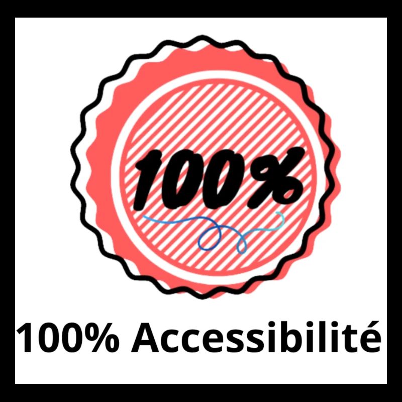 100% Accessibilité