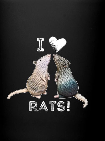 Ratten - J’aime les rats